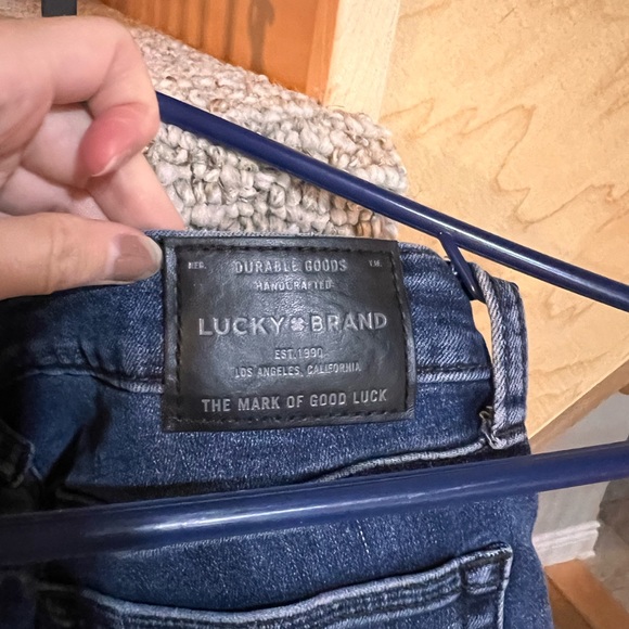 Dark Wash Flora Embroidered Lolita skinny jeans - Picture 4 of 9